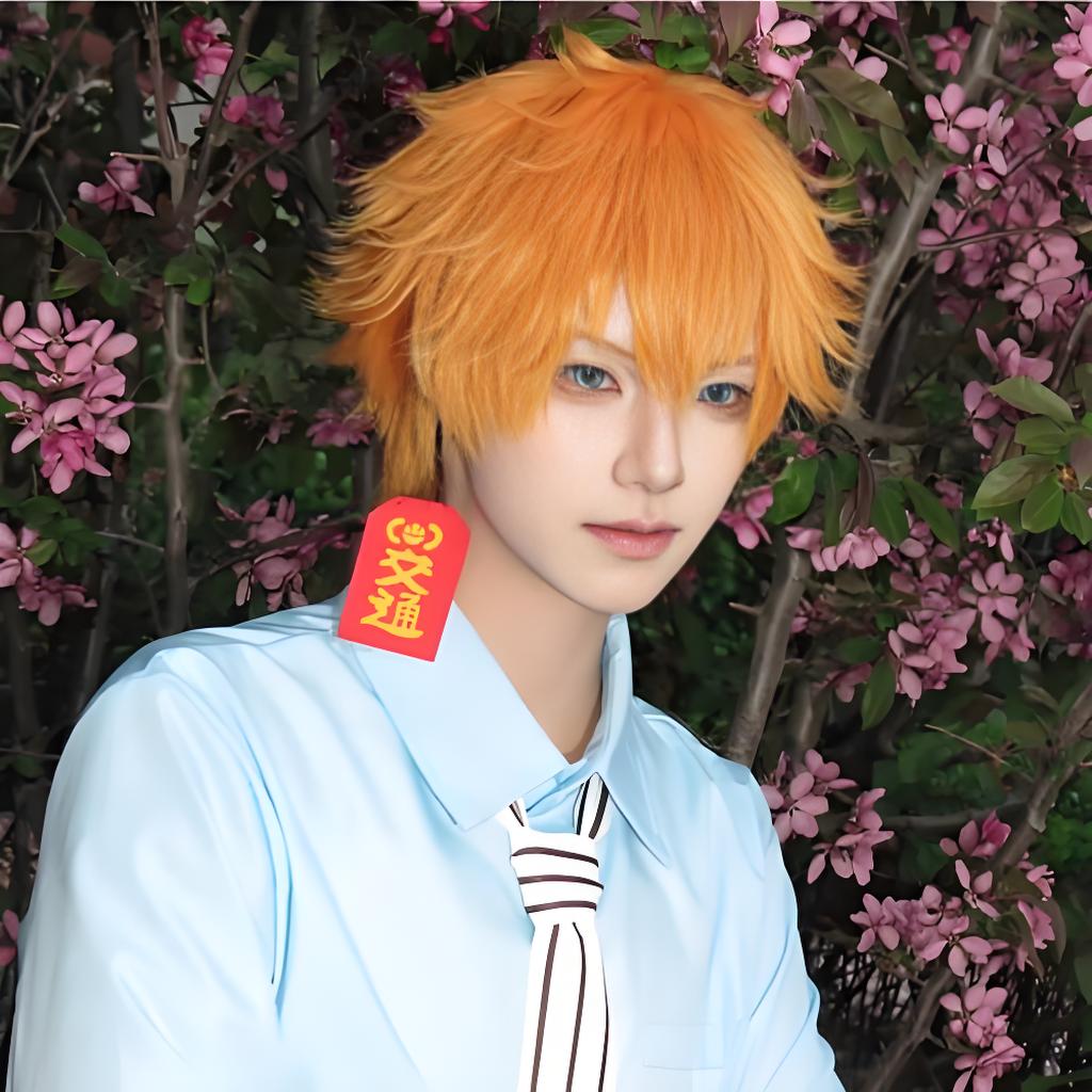 Anime Cosplay Toilet-bound Han - Anime Merchandise Men 评论和价格