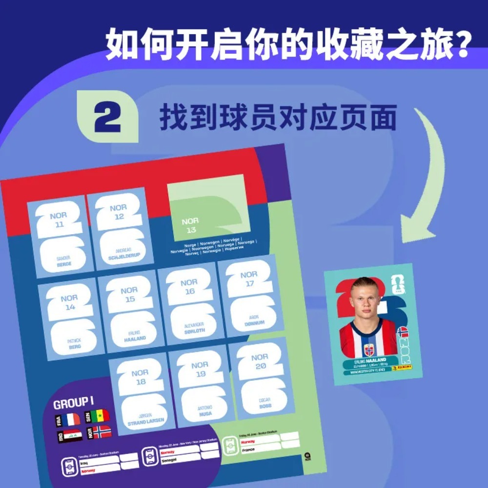 Hot Panini 2026 FIFA World Cup - Sticker Sheet Set 评论和价格