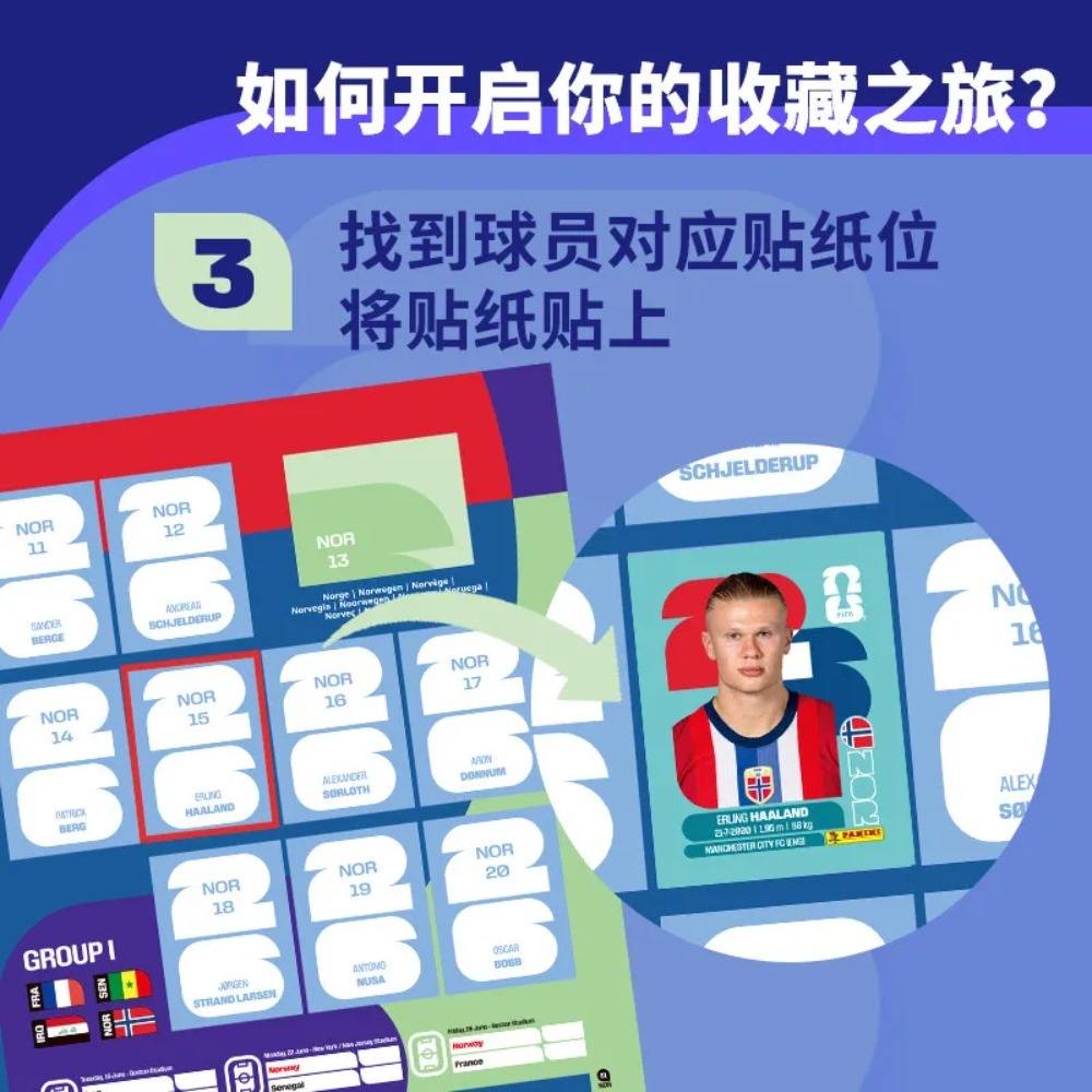 Hot Panini 2026 FIFA World Cup - Sticker Sheet Set 评论和价格